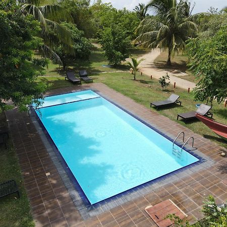 Yala Peace Cottages Tissamaharama Exteriör bild