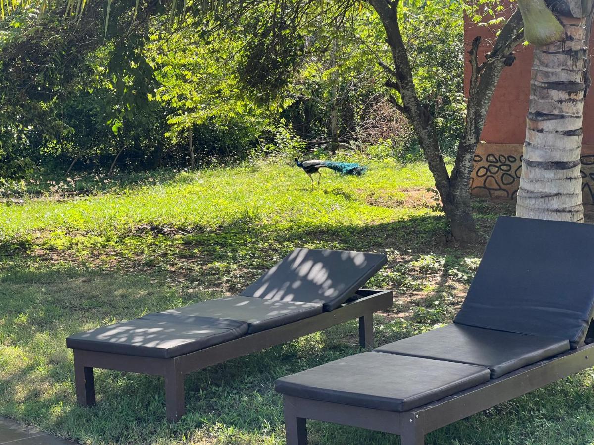 Yala Peace Cottages Tissamaharama Exteriör bild