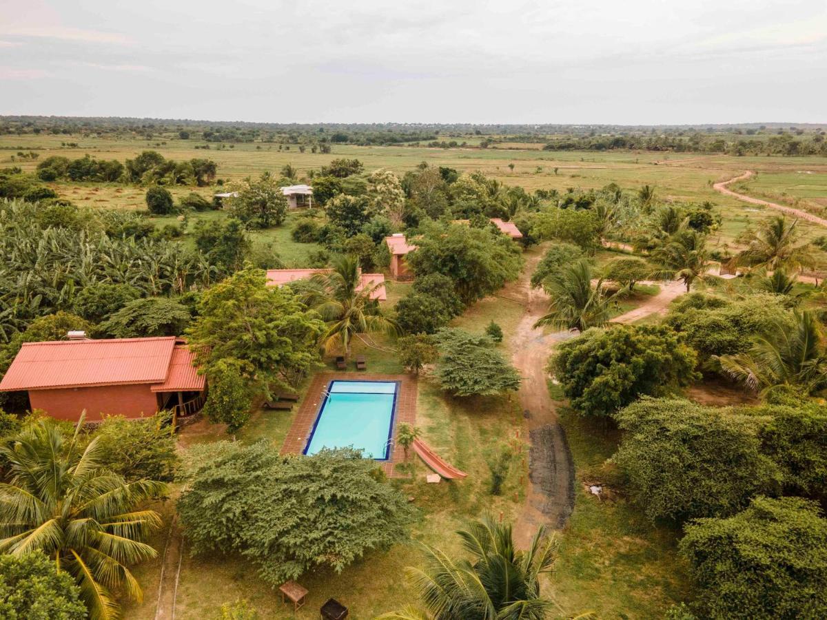 Yala Peace Cottages Tissamaharama Exteriör bild