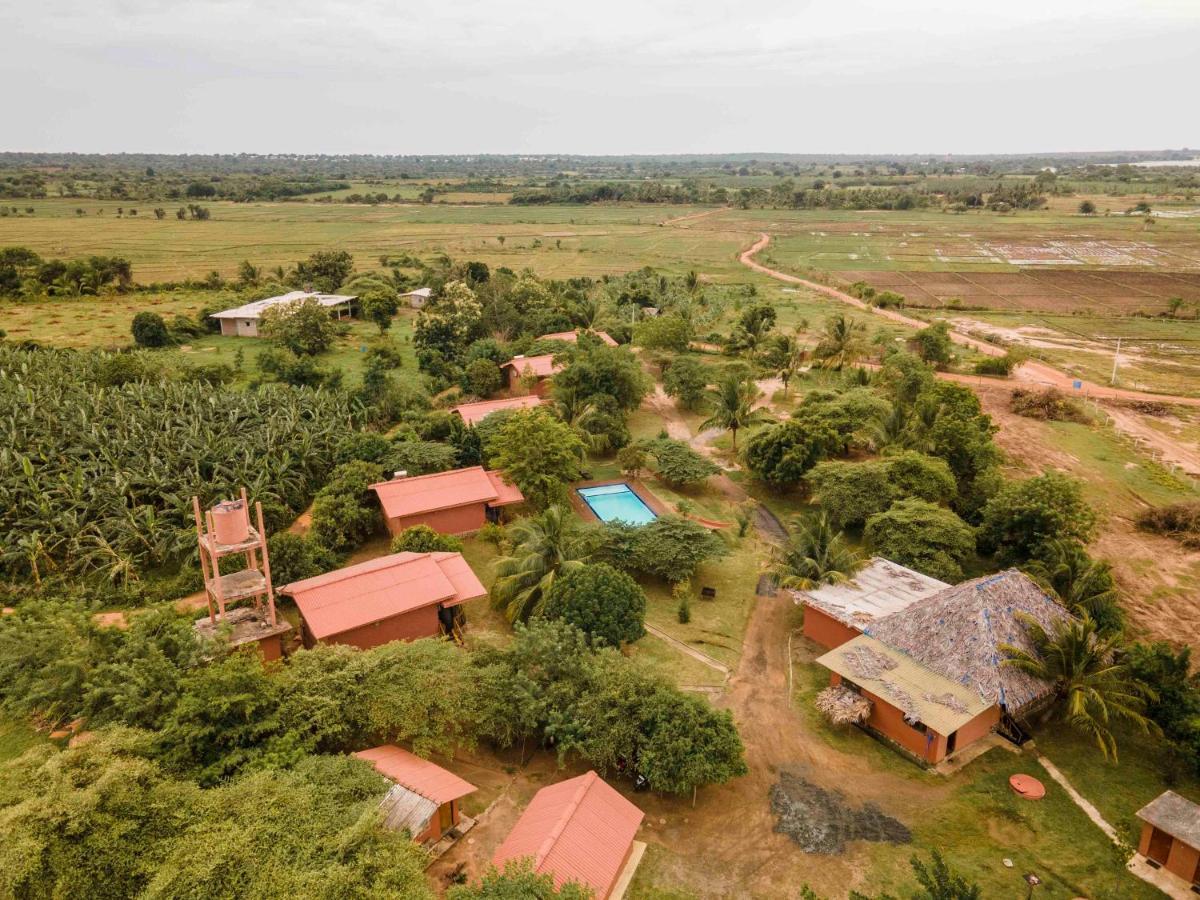Yala Peace Cottages Tissamaharama Exteriör bild