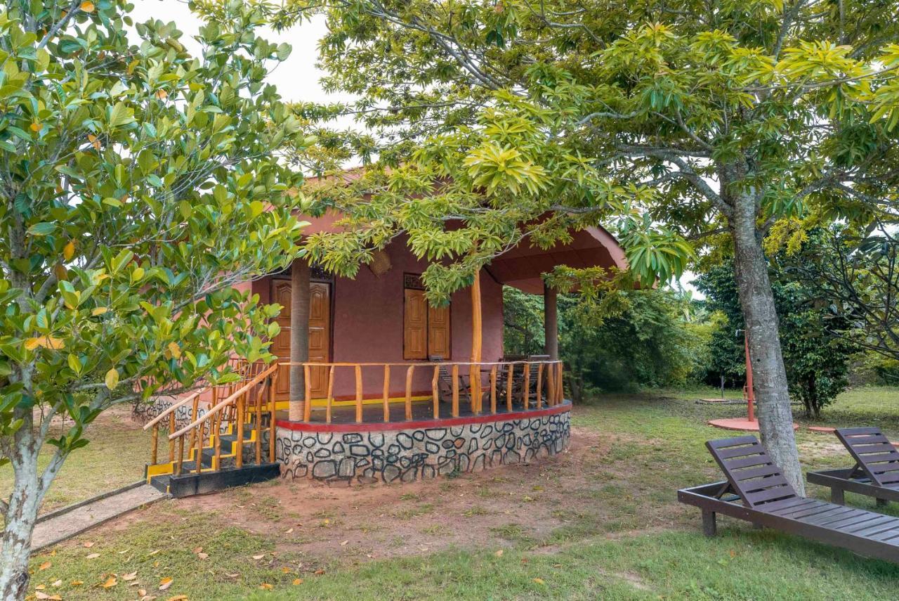 Yala Peace Cottages Tissamaharama Exteriör bild