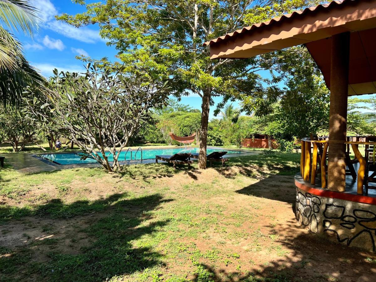 Yala Peace Cottages Tissamaharama Exteriör bild
