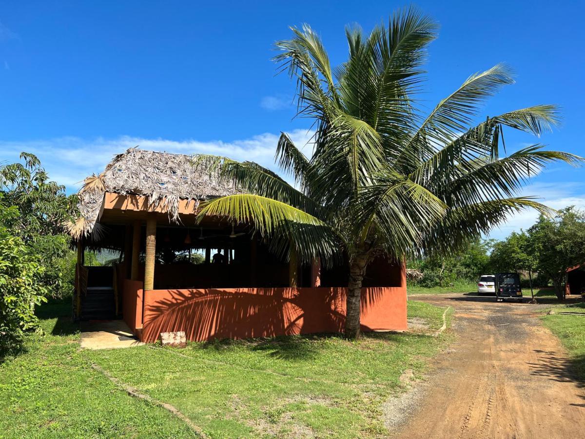 Yala Peace Cottages Tissamaharama Exteriör bild