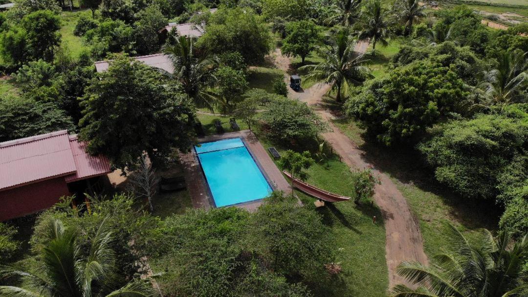 Yala Peace Cottages Tissamaharama Exteriör bild