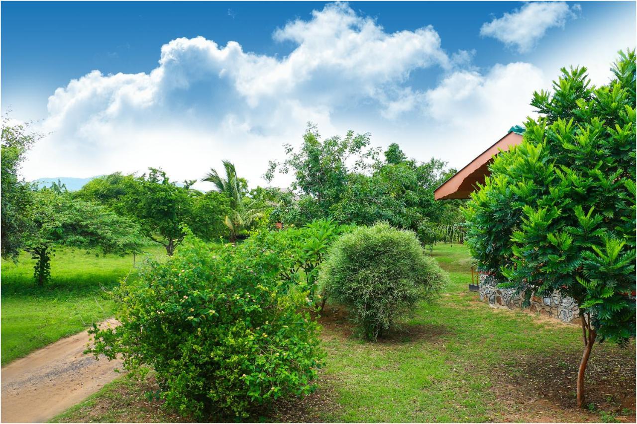 Yala Peace Cottages Tissamaharama Exteriör bild